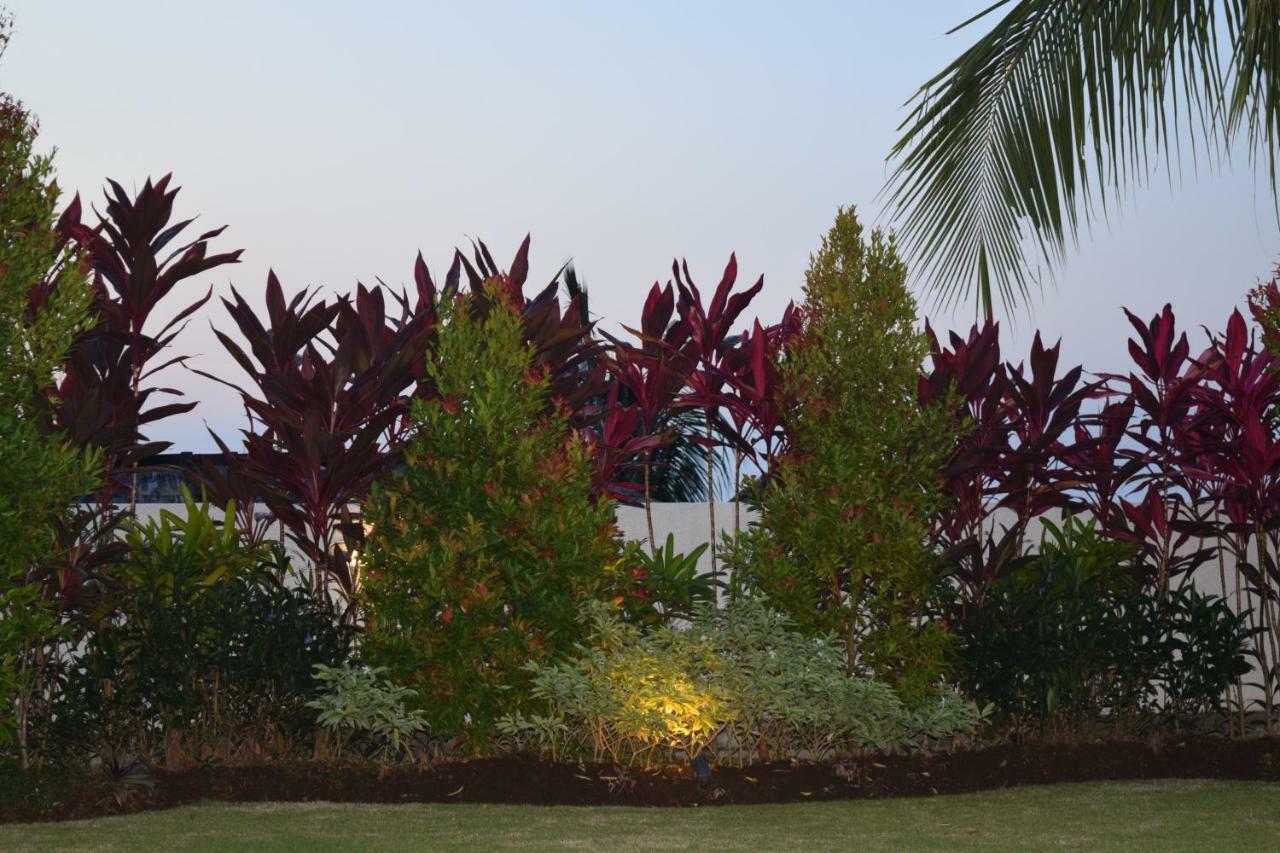 Villa Putih Lovina Exteriér fotografie