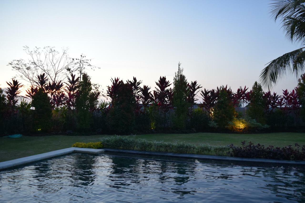 Villa Putih Lovina Exteriér fotografie