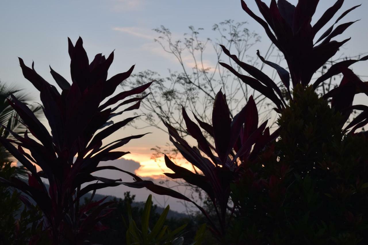 Villa Putih Lovina Exteriér fotografie